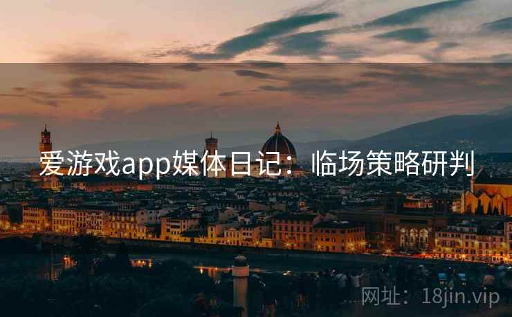 爱游戏app媒体日记：临场策略研判