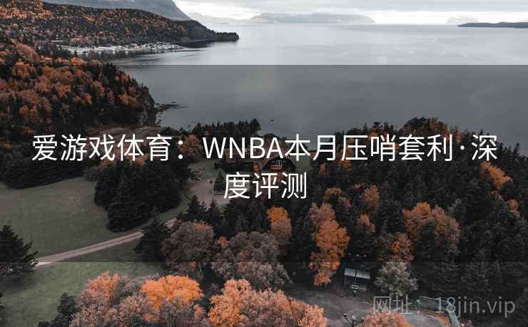 爱游戏体育：WNBA本月压哨套利·深度评测
