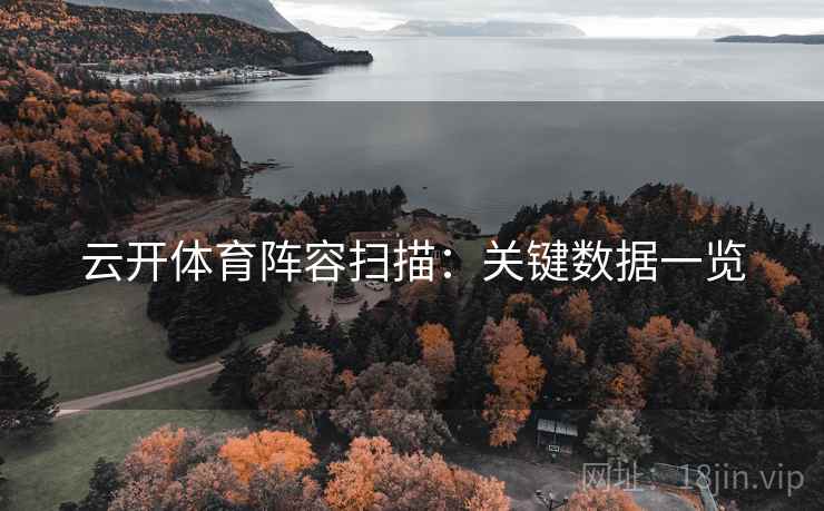 云开体育阵容扫描：关键数据一览